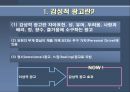 감성적 광고 효과 분석  3페이지