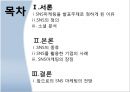 sns마케팅,소셜네트워크,마케팅,브랜드,브랜드마케팅,기업,서비스마케팅,글로벌,경영,시장,사례,swot,stp,4p.PPT자료 2페이지