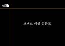 The North Face(노스페이스) 리네이밍전략 및 마케팅전략.PPT자료 32페이지