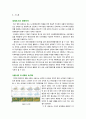 난지도매립지를 공원으로개발,월드컵공원의 마케팅성공사례,서울시의녹지화,난지도공원분석,에코마케팅,버즈마케팅,저가마케팅,체험마케팅 3페이지