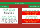 뉴트리라이트 마케팅전략 기획서 - 뉴트리라이트 마케팅전략사례,마케팅 믹스 전략 제안,광고 및 프로모션.PPT자료 6페이지