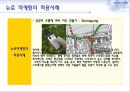 뉴로(NEURO) 마케팅,뉴로마케팅,뉴로마케팅사례,NEURO마케팅 13페이지