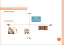 DANAHAN 다나한 리네이밍 - 다나한,마케팅사례,마케팅,브랜드,브랜드마케팅,기업,서비스마케팅,글로벌,경영,시장,사례,swot,stp,4p.PPT자료 17페이지