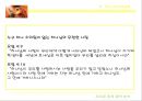라이온 킹 (The Lion King) - 기독교적 관점으로.ppt 28페이지