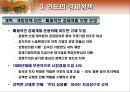 인도의 경제 개관 10페이지