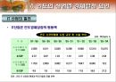 인도의 경제 개관 13페이지