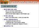 인도의 경제 개관 14페이지