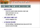 인도의 경제 개관 22페이지