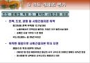 인도의 경제 개관 23페이지