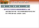 인도의 경제 개관 24페이지