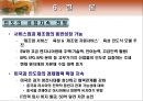 인도의 경제 개관 27페이지