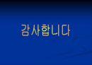 정신분석 심리치료.PPT자료 27페이지