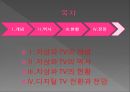 지상파 TV (디지털TV,KBS,MBC,EBS).ppt 2페이지