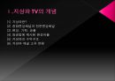 지상파 TV (디지털TV,KBS,MBC,EBS).ppt 3페이지