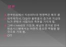 지상파 TV (디지털TV,KBS,MBC,EBS).ppt 36페이지