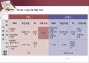 찍스기업분석,찍스마케팅전략,스냅스기업분석,zzixx 33페이지