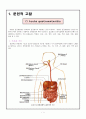 급성위염 케이스 CASE STUDY -AGE- (Acute gastroenteritis) 2페이지