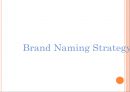 킨 사이다 Dynamic Kin Renaming (킨사이다,브랜드마케팅,마케팅전략사례,마케팅,브랜드,브랜드마케팅,기업,서비스마케팅,글로벌,경영,시장,사례,swot,stp,4p).ppt 28페이지