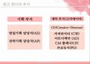 크리에이티브와 광고/PR - 크리에이티브와 광고PR,광고마케팅사례,광고전략,브랜드마케팅,서비스마케팅,글로벌경영,사례분석,swot,stp,4p.PPT자료 18페이지