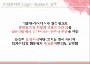 크리에이티브와 광고/PR - 크리에이티브와 광고PR,광고마케팅사례,광고전략,브랜드마케팅,서비스마케팅,글로벌경영,사례분석,swot,stp,4p.PPT자료 23페이지