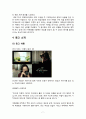 DSLR시장분석,DSLR시장확대,캐논DSLR,캐논광고분석,DSLR광고분석 7페이지