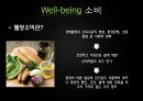 Well-being Heuristic,웰빙,웰빙소비,웰빙의문제점,웰빙의배경,웰빙사례 2페이지