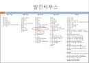 [의학] 발진티푸스.ppt 3페이지