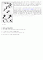 [스포츠] 스키 장비와 스키 기본 기술에 대해서 19페이지