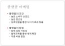 카카오톡 소셜게임 마케팅전략분석과 소셜게임 방향과 대안제시 16페이지