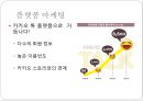 카카오톡 소셜게임 마케팅전략분석과 소셜게임 방향과 대안제시 17페이지