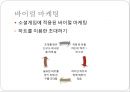 카카오톡 소셜게임 마케팅전략분석과 소셜게임 방향과 대안제시 23페이지