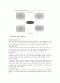 해외시장의 진입  28페이지