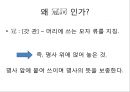 관사 [ 冠詞 article] 3페이지