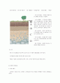 [환경생태학] 육상, 담수, 습지, 해양 생태계의 특성과 생태계의 천이 연구 8페이지