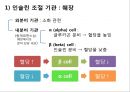DM 4페이지