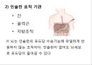 DM 5페이지
