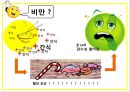 DM 9페이지