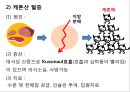 DM 14페이지