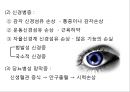 DM 17페이지