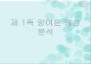 양이온 피피티 1페이지