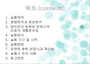 양이온 피피티 2페이지