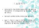 양이온 피피티 3페이지