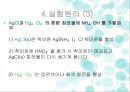 양이온 피피티 10페이지