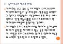 [드럭스토어]드러그스토어 시장의 성장과 규제에 따른 영향 PPT자료 12페이지