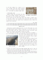 19세기 파리의 도시화와 매춘  2페이지