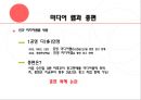 종합편성채널 분석 11페이지
