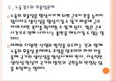 [한국경제현황]한국의 GDP증가율과 노동생산성 감소문제 PPT자료 18페이지
