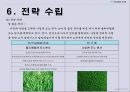 풋살구장 창업보고서 - YU Football Club.ppt 31페이지