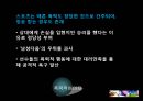 스포츠와 문화.ppt 28페이지