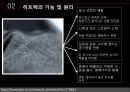 신제품- 유니클로(UNIQLO).ppt 19페이지